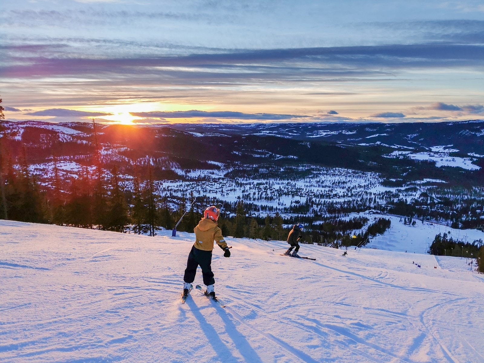 Nesfjellet Galleribilde