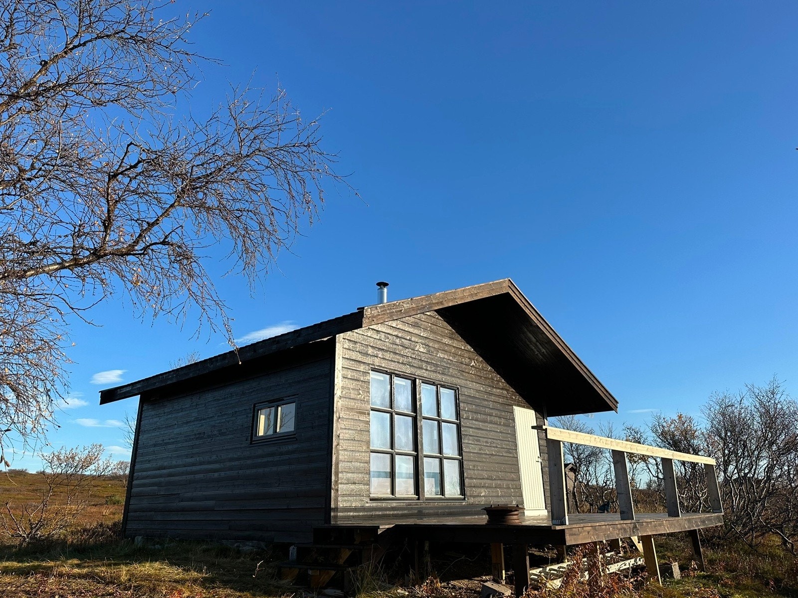 Advokatfirmaet Hegg & Co presenterer Gammerabben! Galleribilde