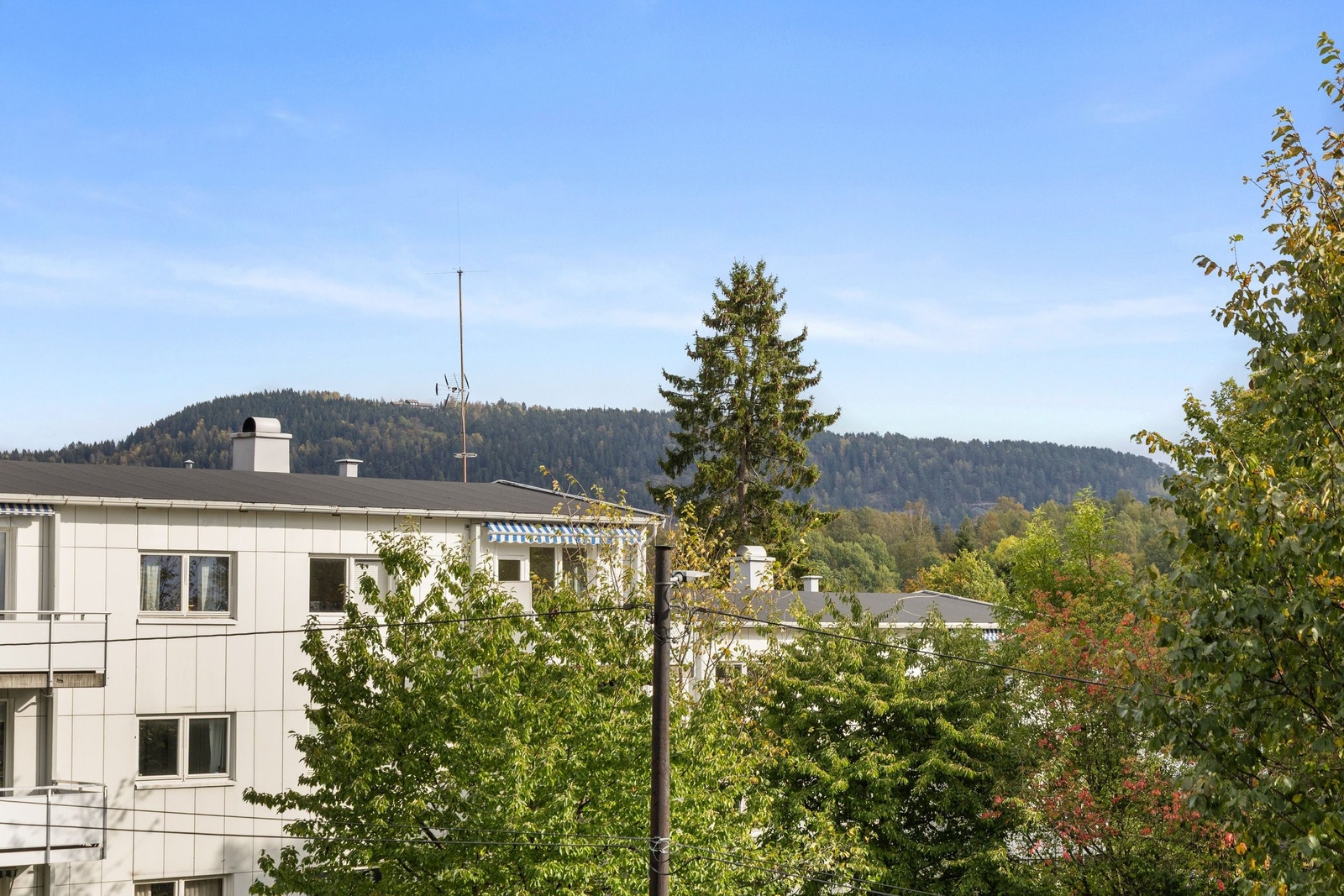 Utsikt mot Grefsenkollen Galleribilde