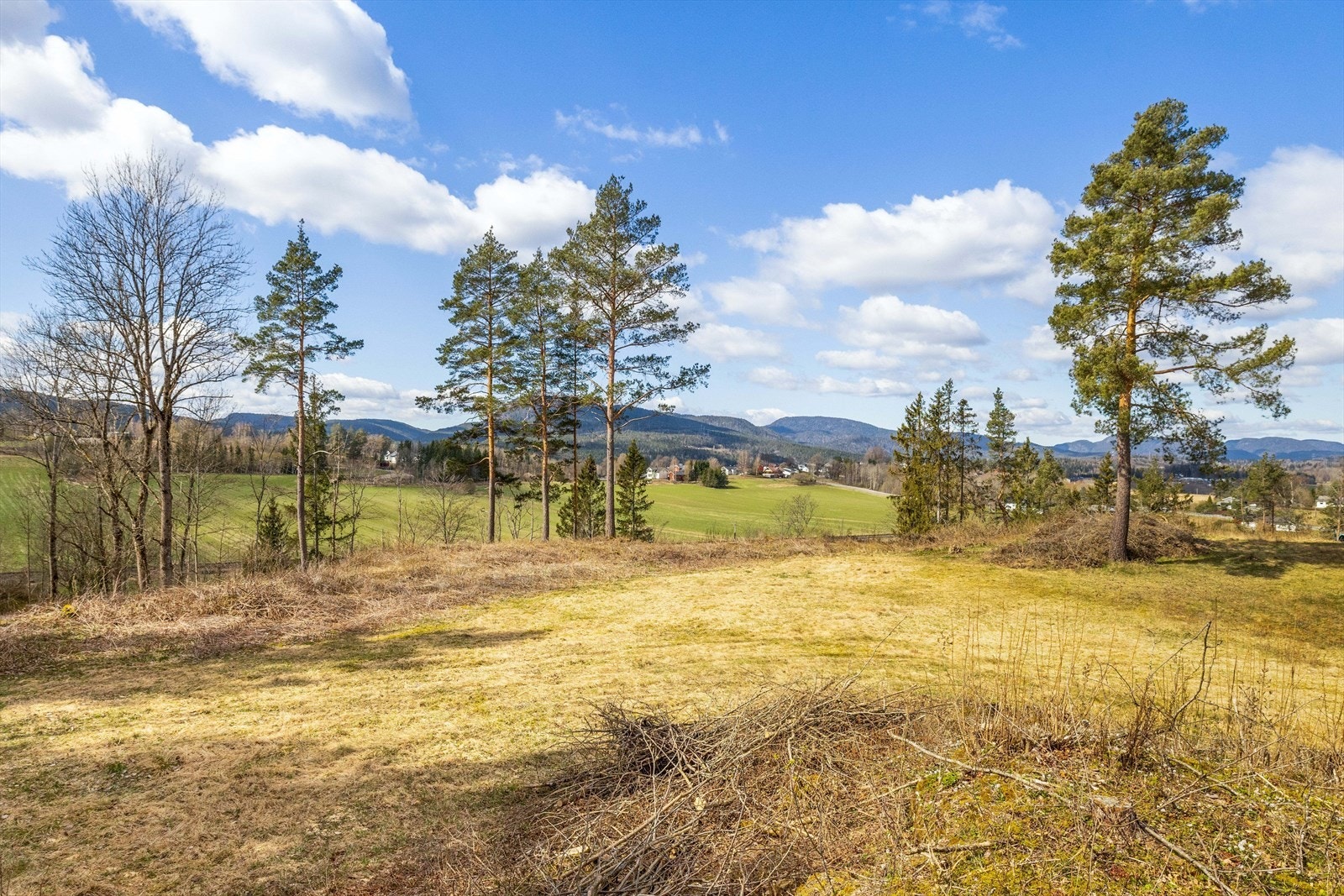 Eiendomsmegler Espen Thoresen presenterer stor tomt på Limikollen! Galleribilde