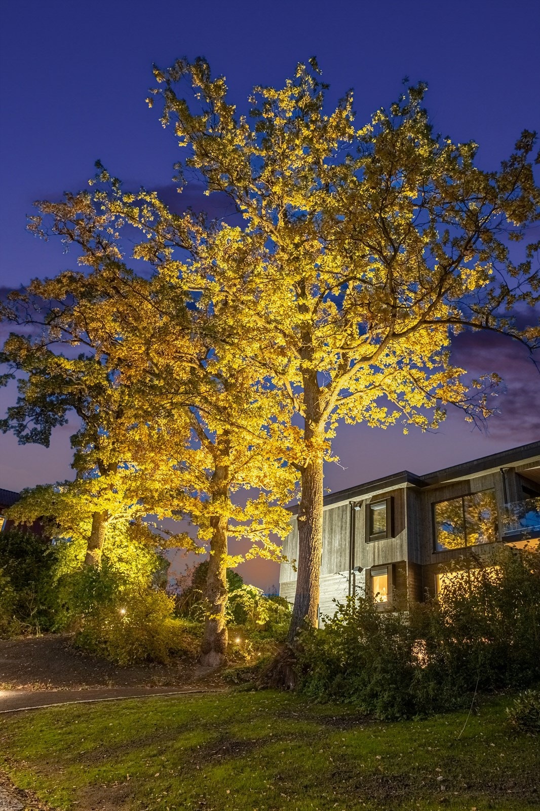 De gamle eiketrærne omgis av pent anlagte uteområder Galleribilde