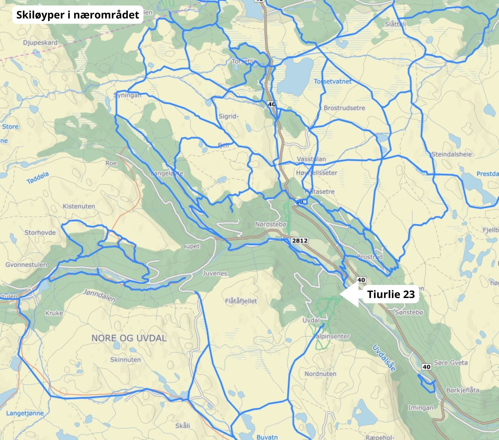 Fantastisk langrennsnett i nærområdet! Galleribilde