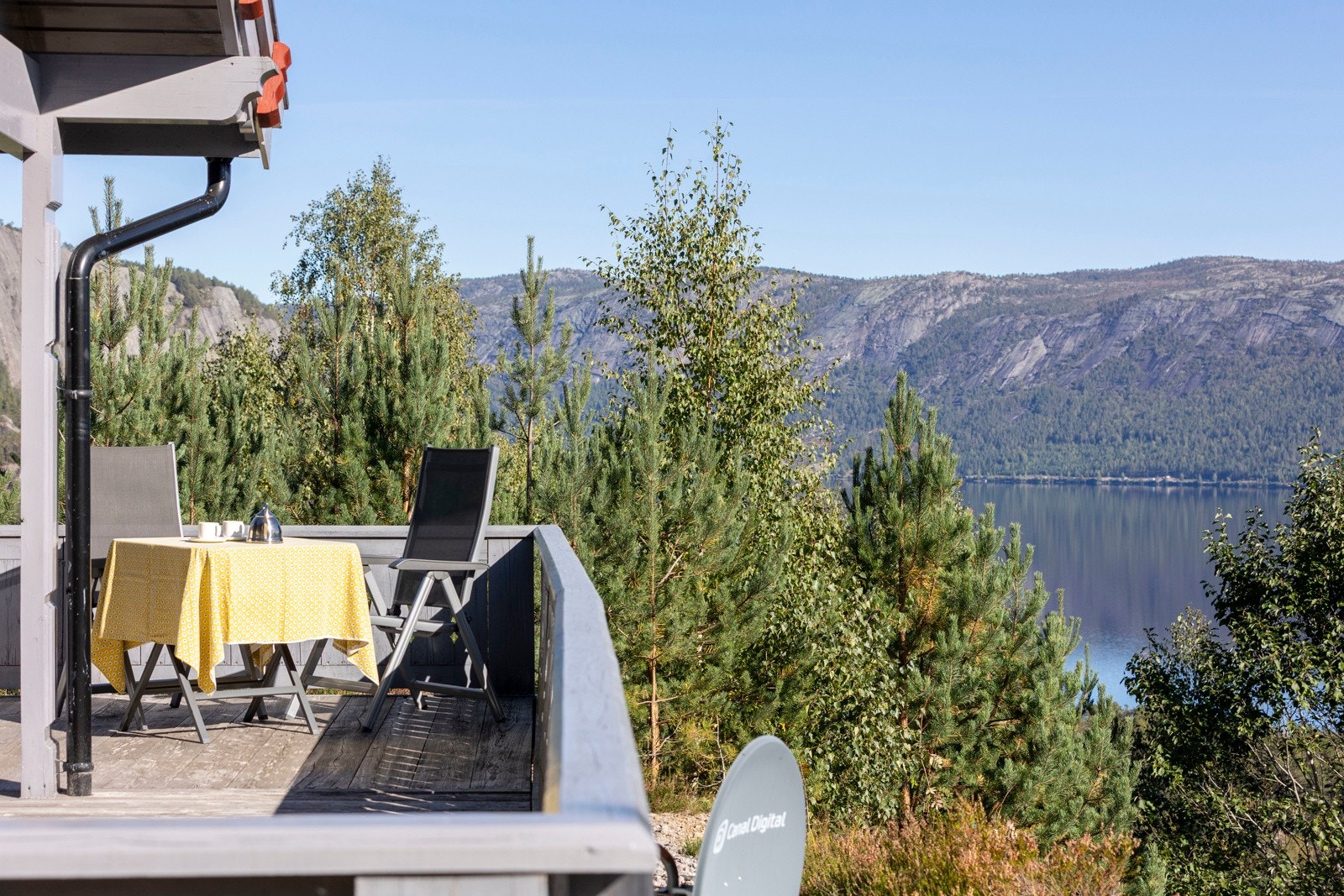 Uteområde. Galleribilde