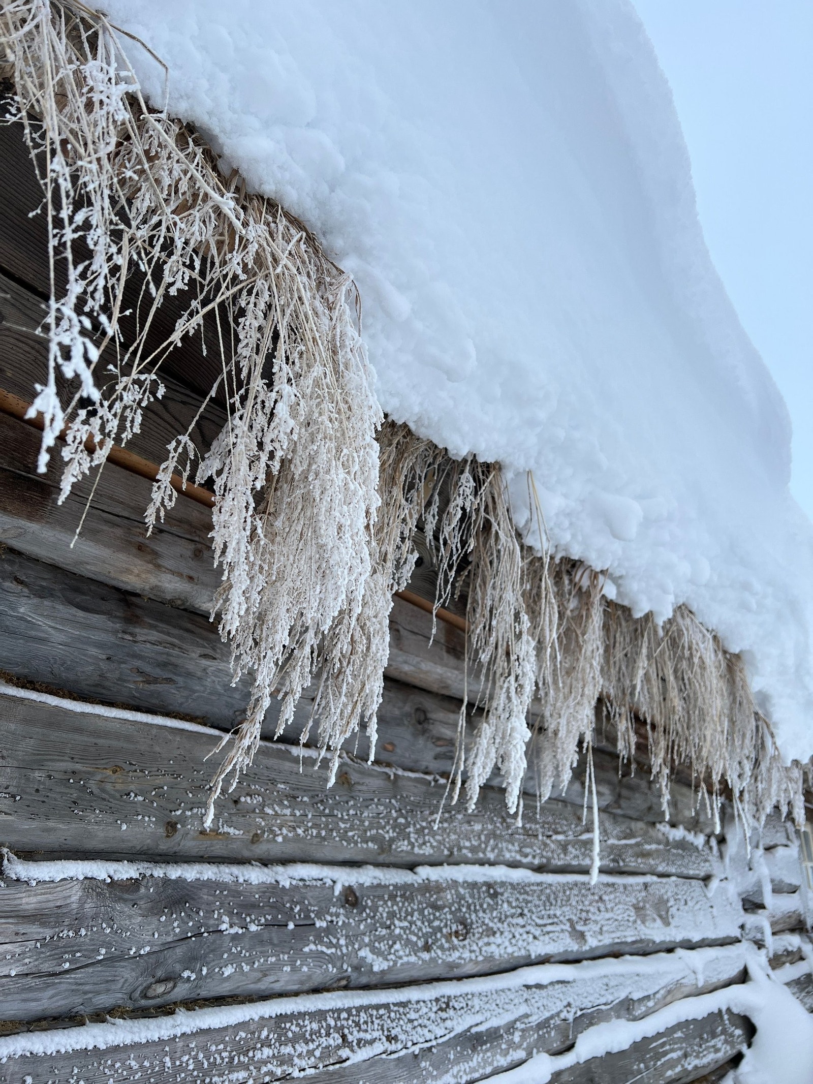 Detalj fra torvtak Galleribilde