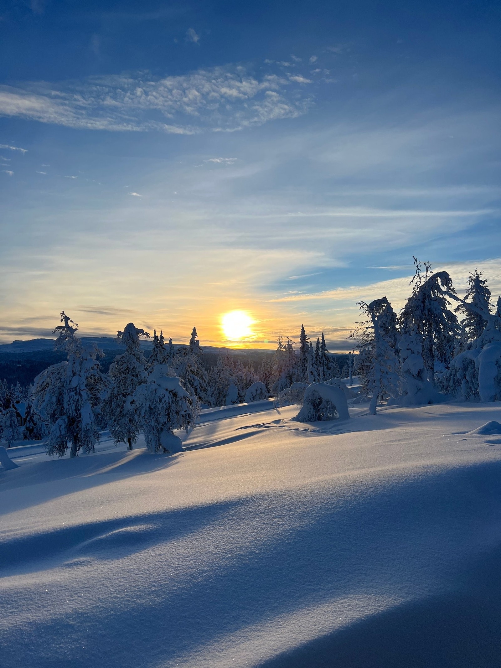 Solnedgang på tomten Galleribilde