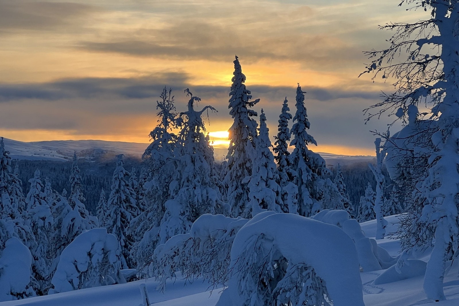 Vinterstemning på tomten Galleribilde