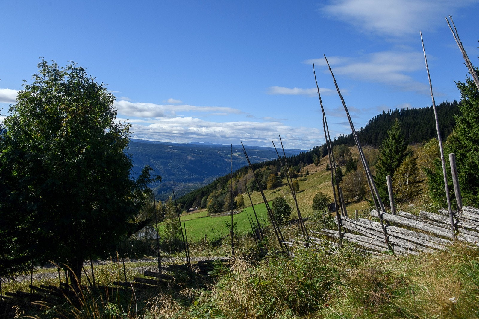 Romslig eiertomt på over 2 mål. Eiendommen ligger vestvendt i relativt skrånende terreng. Galleribilde