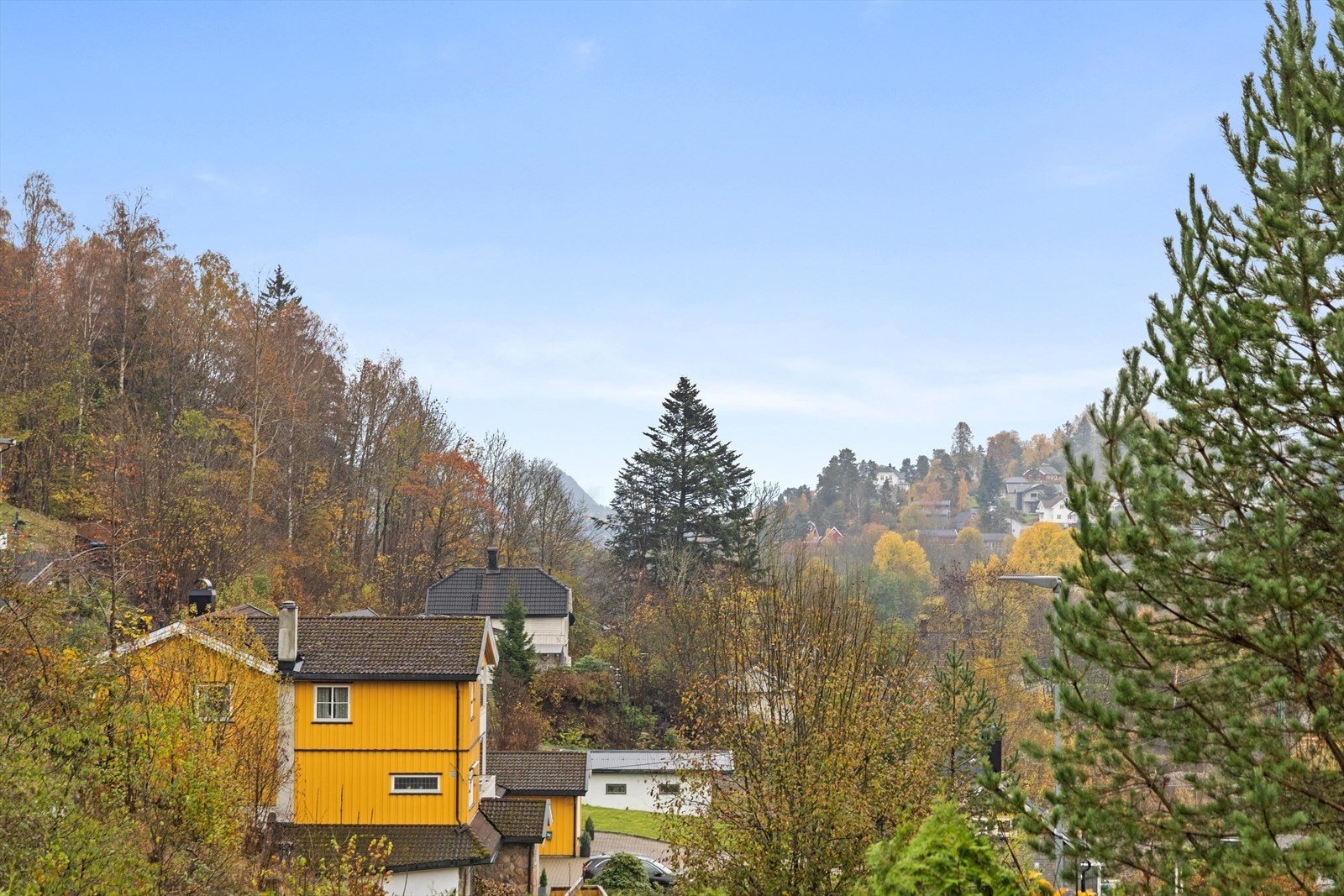 Flott utsikt fra inngangspartiet. Galleribilde