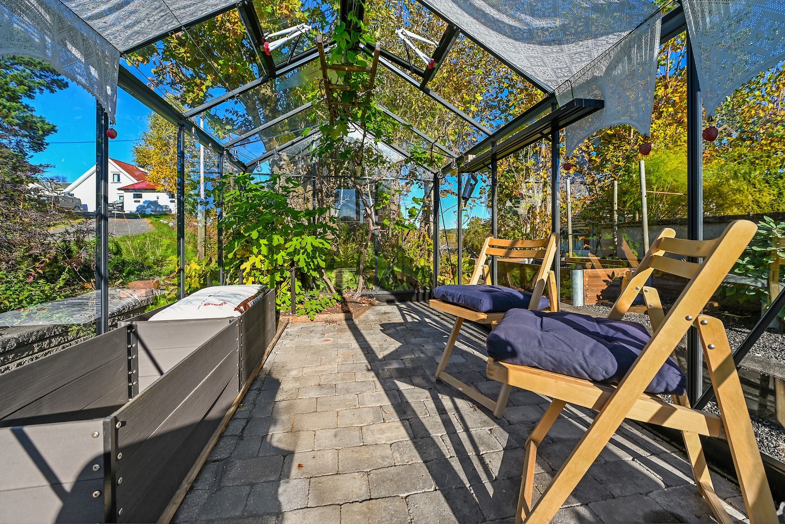 Flott drivhus i hagen. Galleribilde