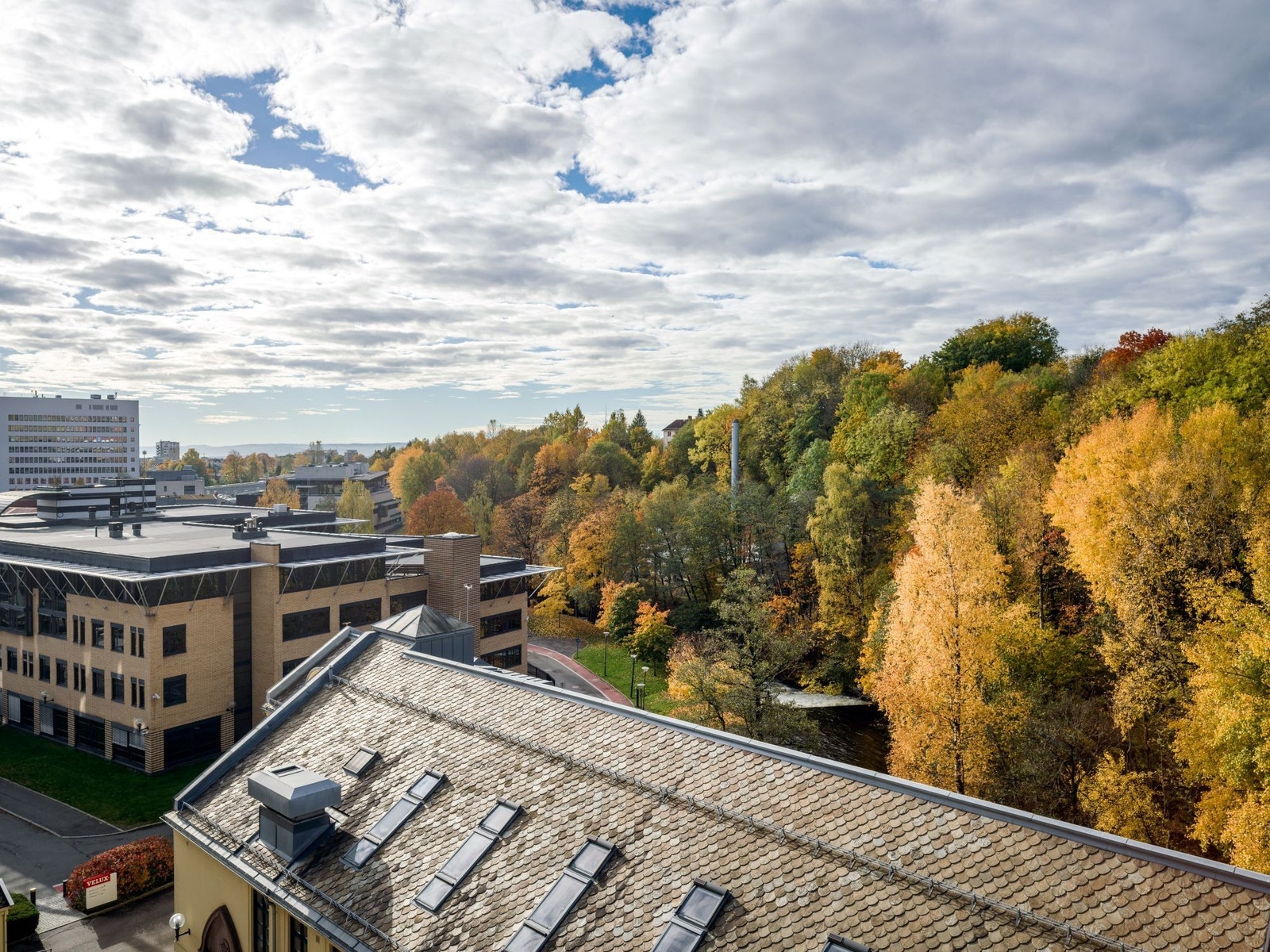 Utsikt utover mot Oslofjorden Galleribilde