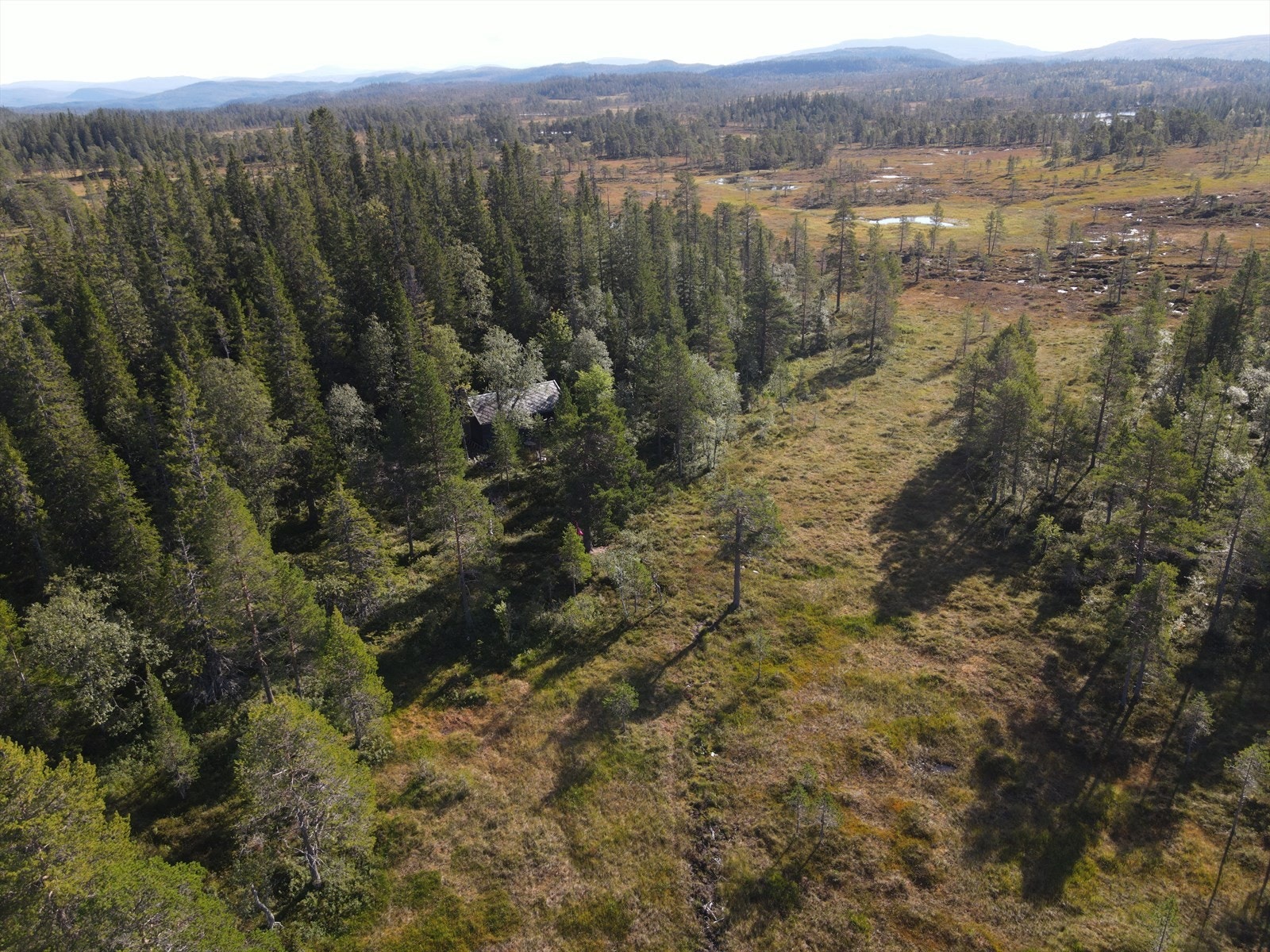 Utsikt mot øst Galleribilde