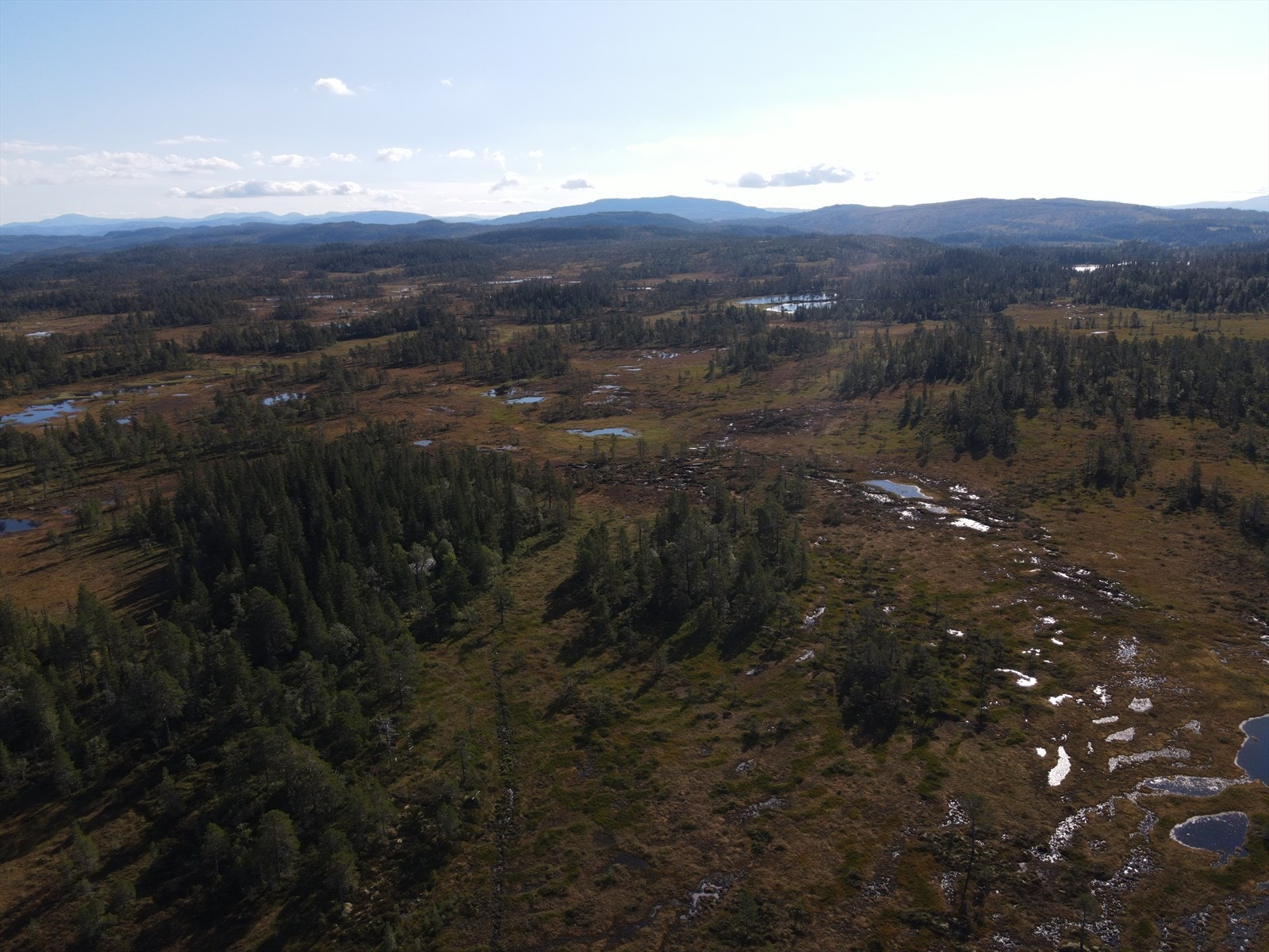 Utsikt mot sørøst Galleribilde