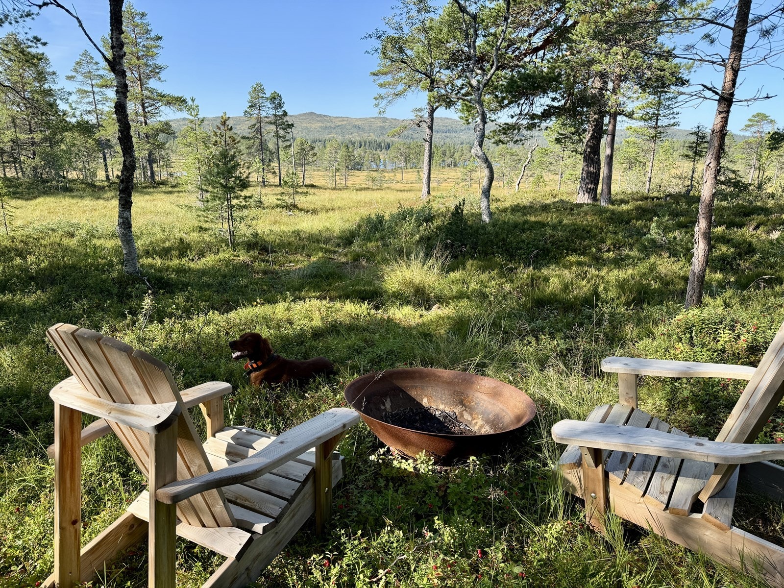 IMG_8200.jpeg Galleribilde