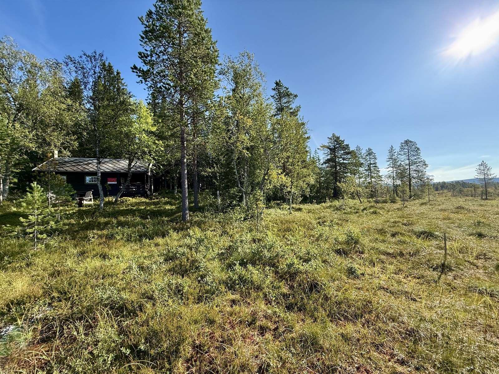 IMG_8209.jpeg Galleribilde