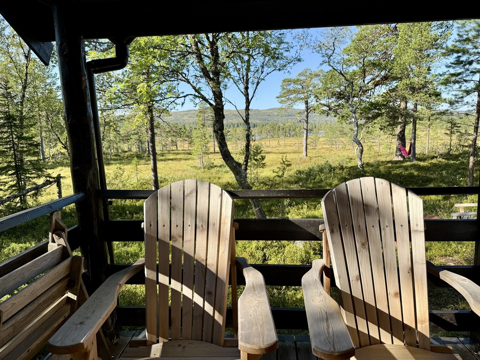 IMG_8220.jpeg Galleribilde