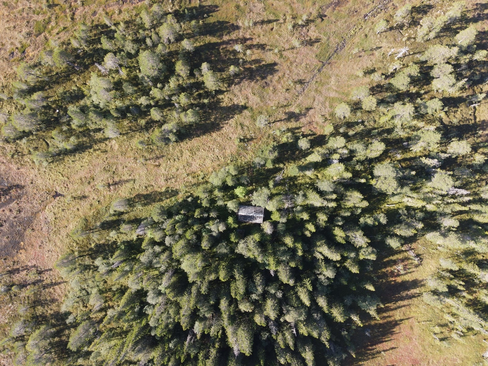 Skjermet beliggenhet. Galleribilde