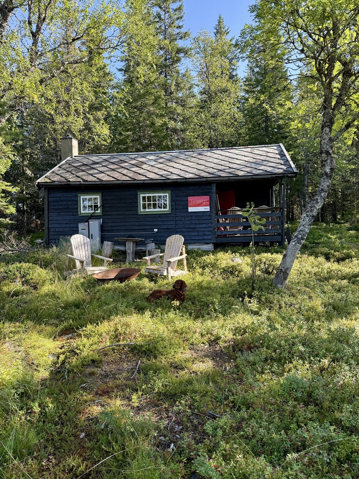 IMG_8203.jpeg Galleribilde