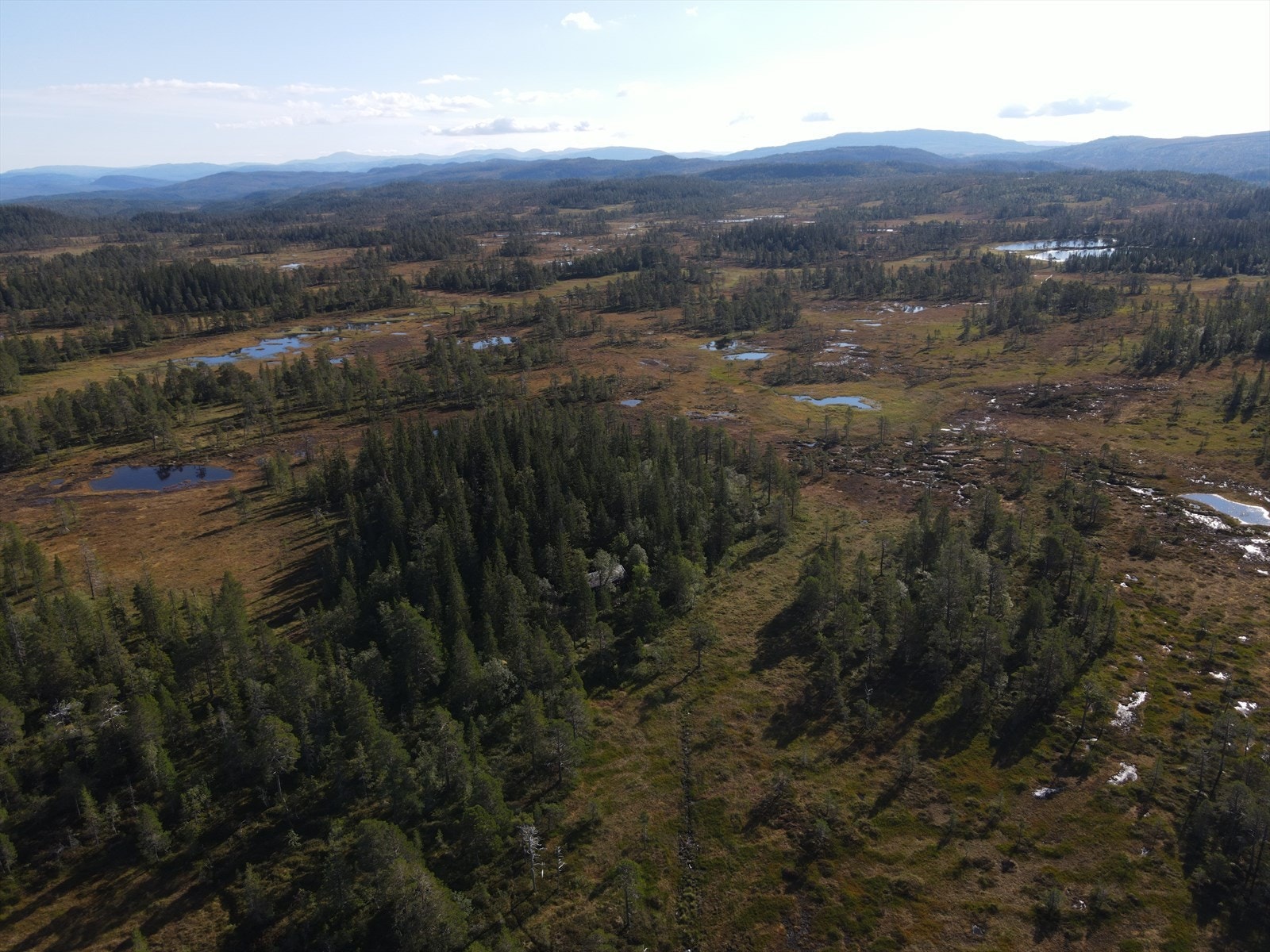 DJI_0766.JPG Galleribilde