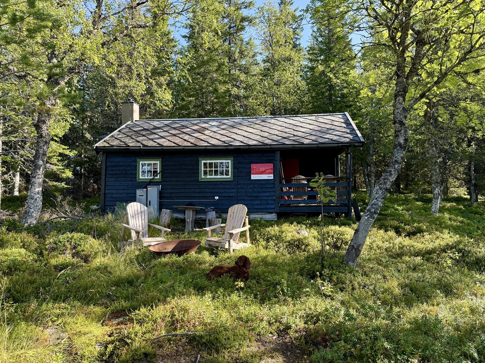 IMG_8202.jpeg Galleribilde