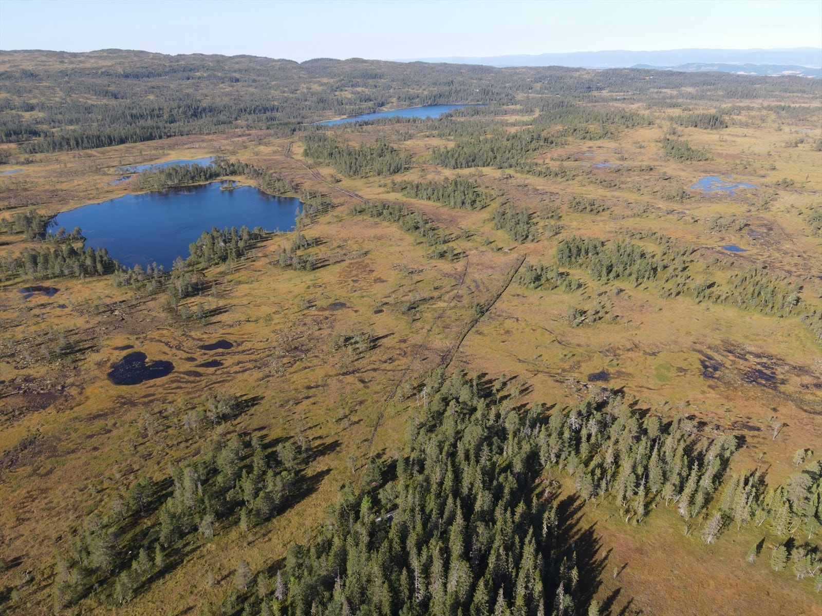 Delvis klopplagt sti frem til hytta Galleribilde