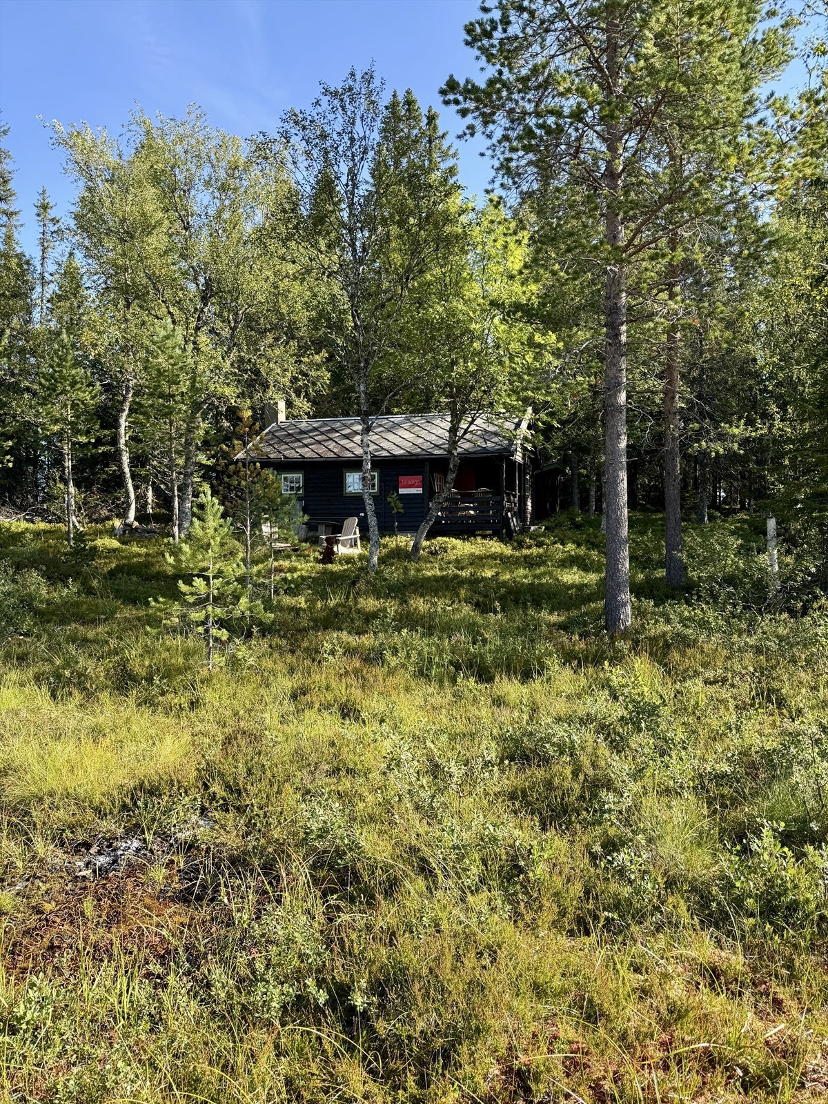 IMG_8211.jpeg Galleribilde