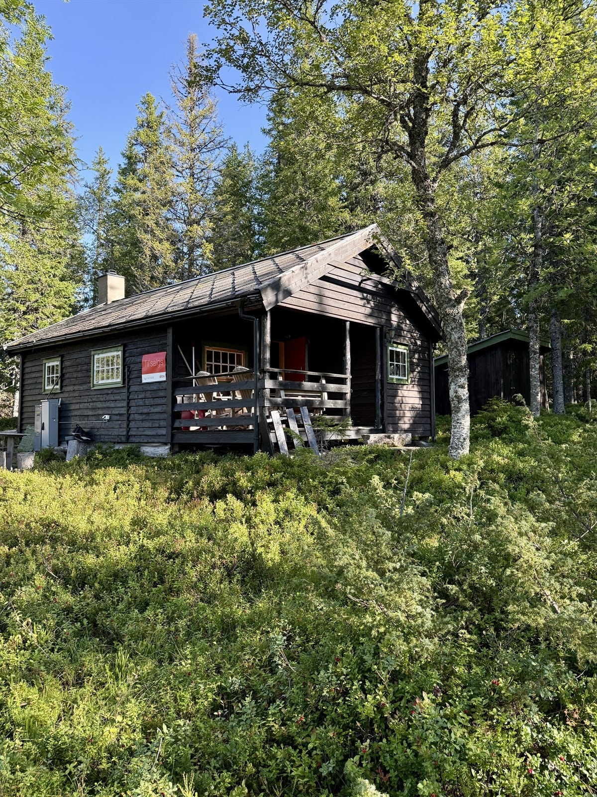 IMG_8206.jpeg Galleribilde