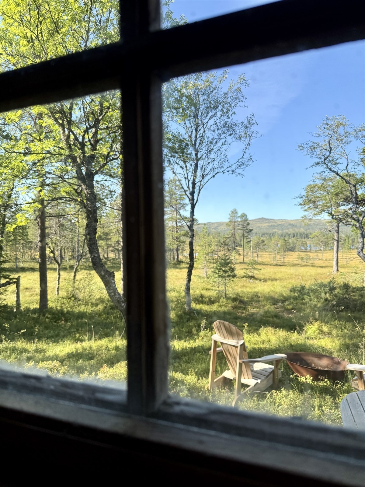 IMG_8221.jpeg Galleribilde