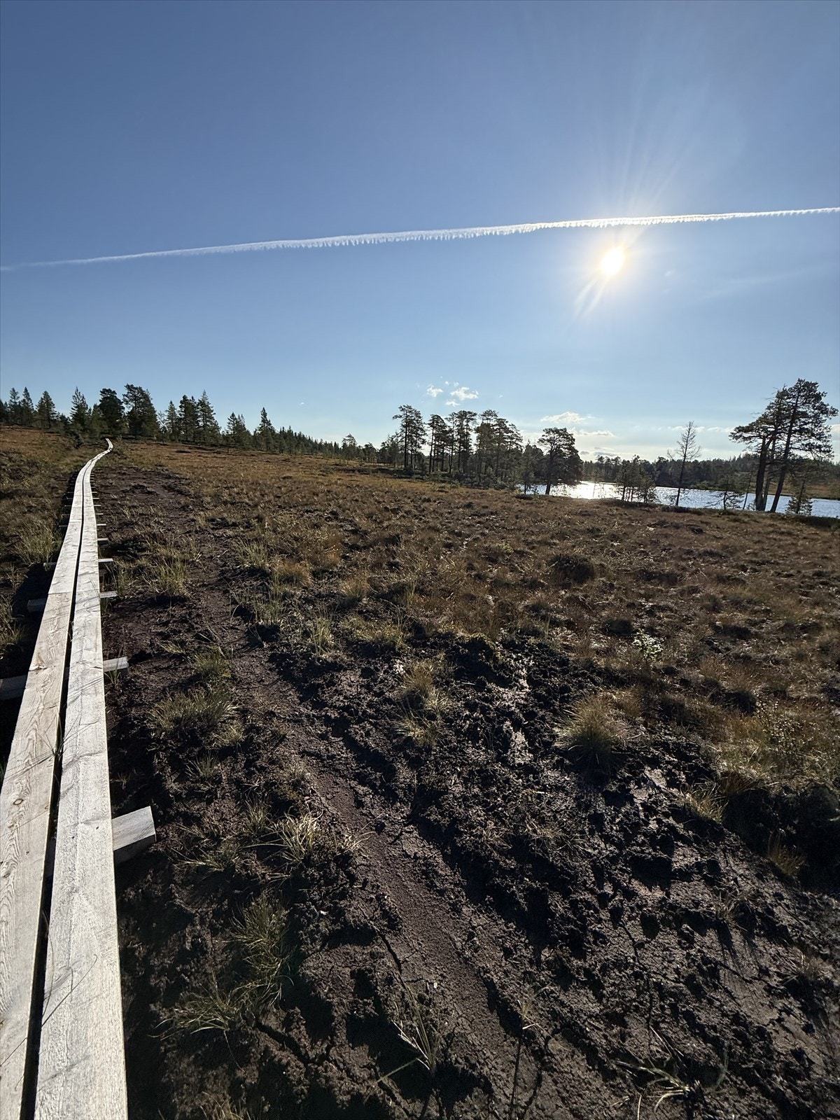 Klopplagt sti Galleribilde