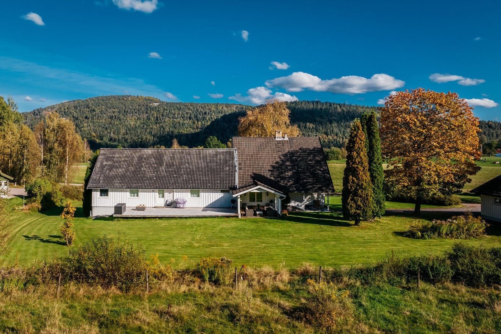 Her er det god plass til både store og små, 2 beinte og 4 beinte. Galleribilde