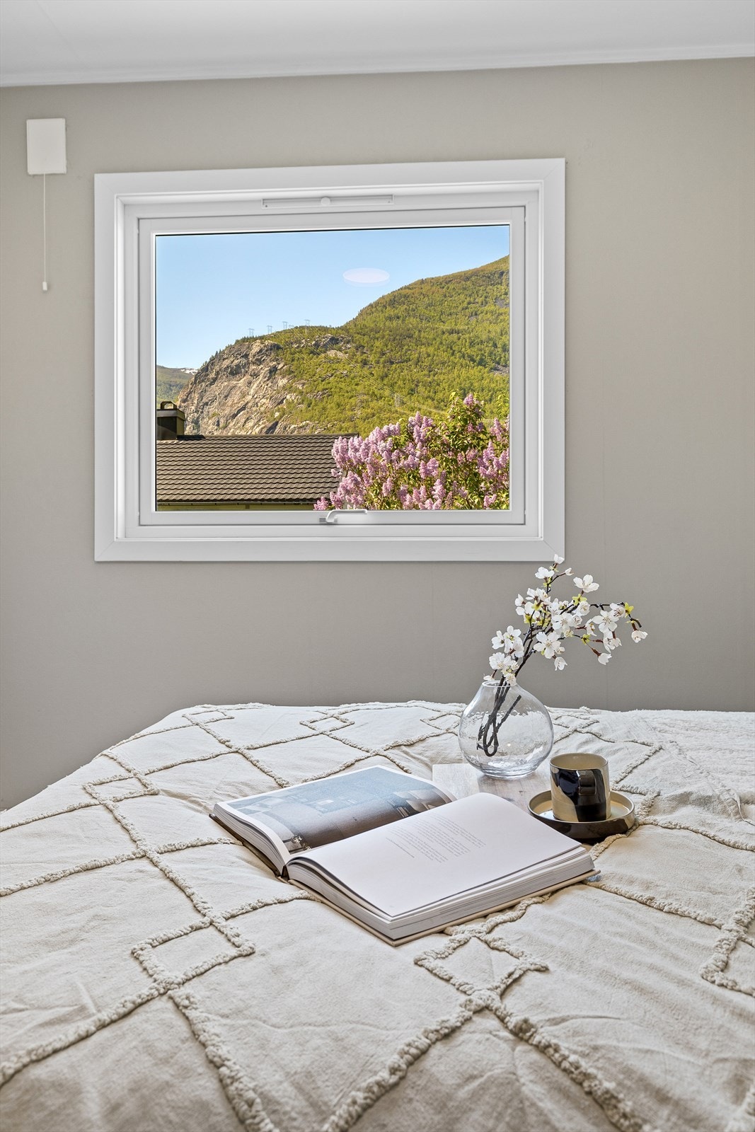 Detaljar | Garanti Indre Sogn Galleribilde