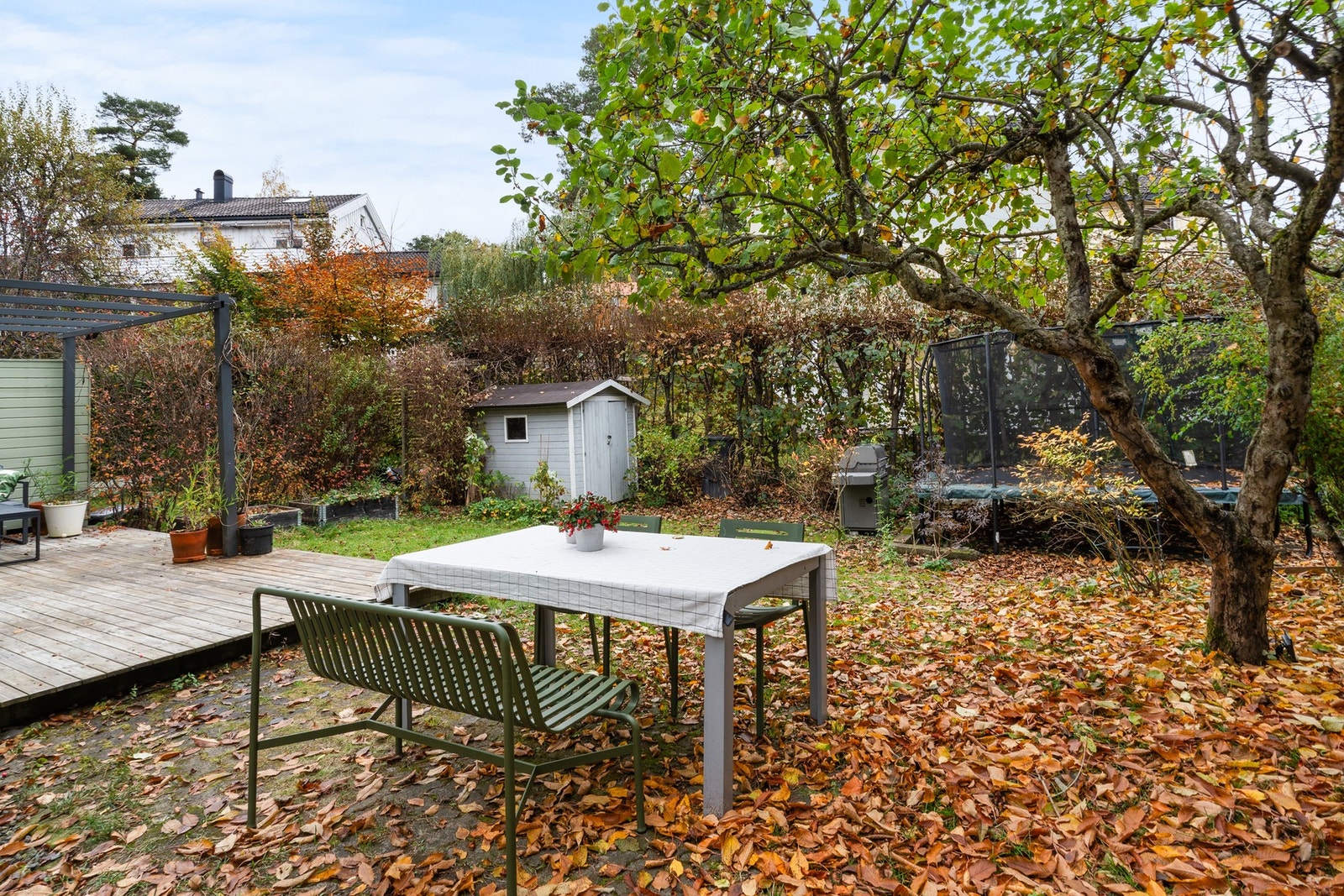 Tomten er innrammet med hekk og ligger skjermet til Galleribilde