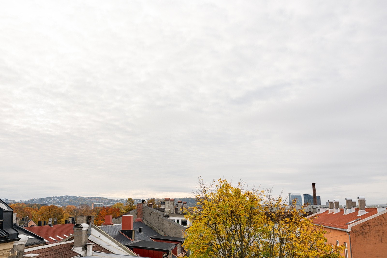 Her sitter du høyt, fritt og usjenert med nydelig utsikt over byens tak! Galleribilde