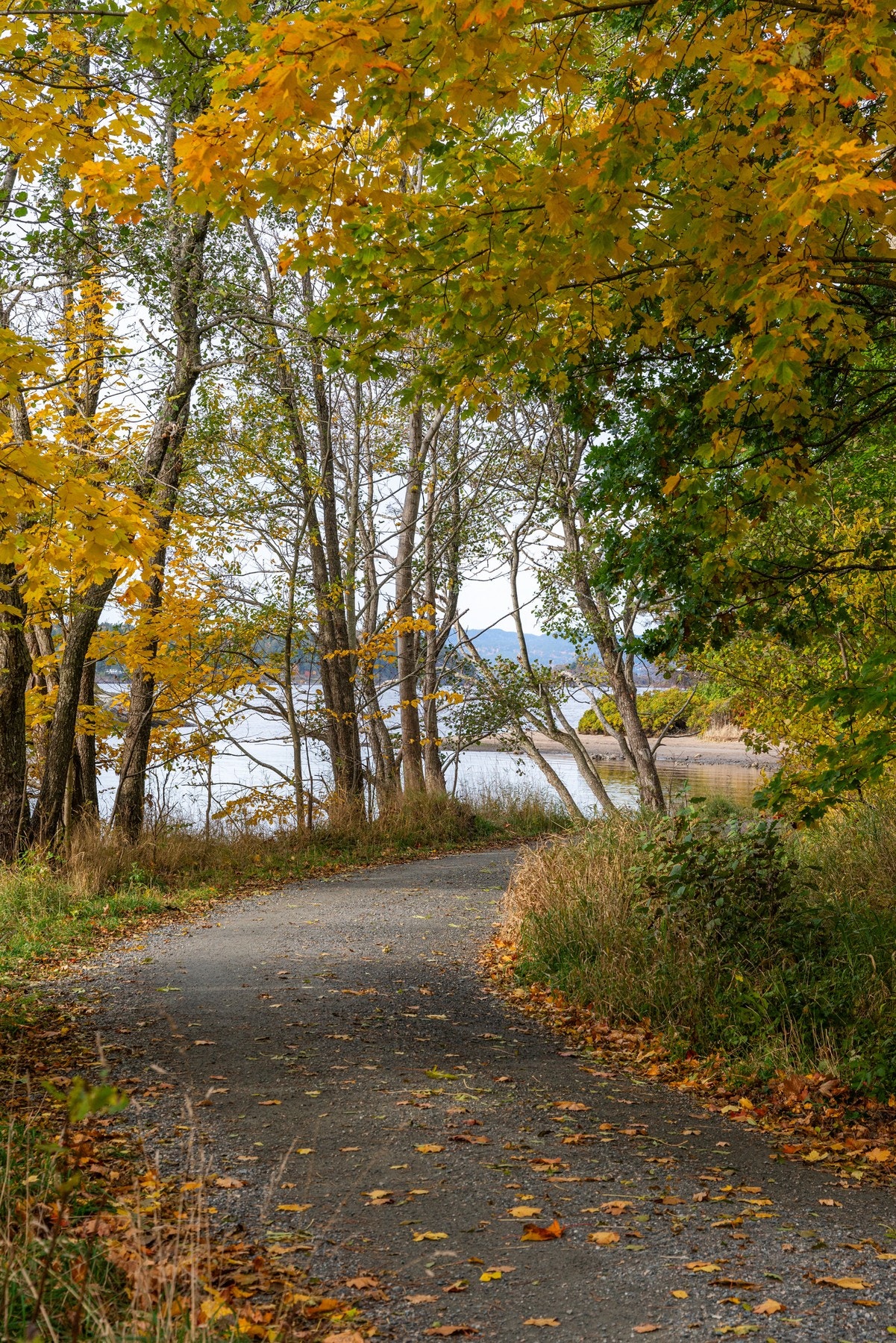 Kyststien går igjennom området Galleribilde