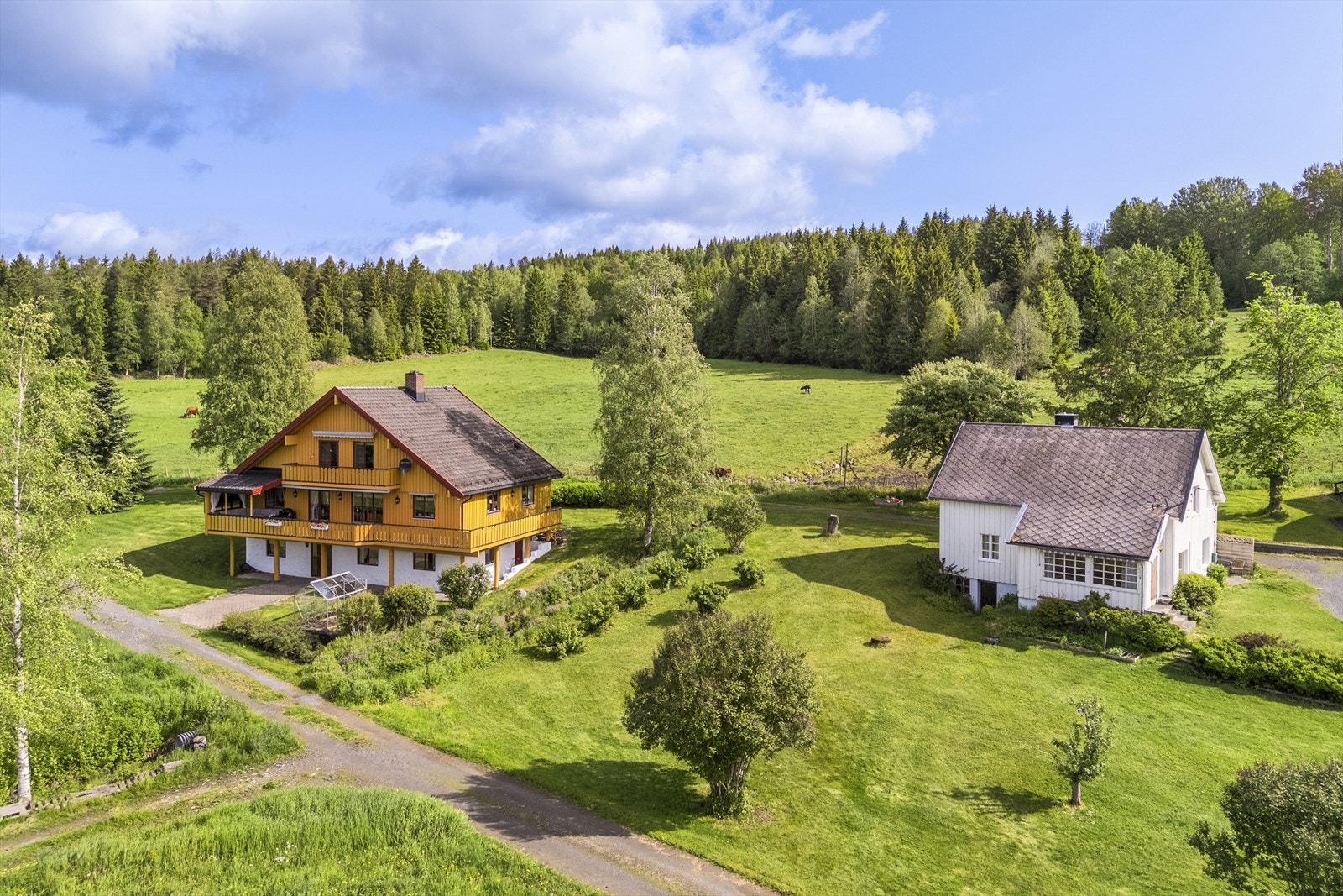Eiendommen har et produktivt skogsareal på 2386,2 daa. Galleribilde