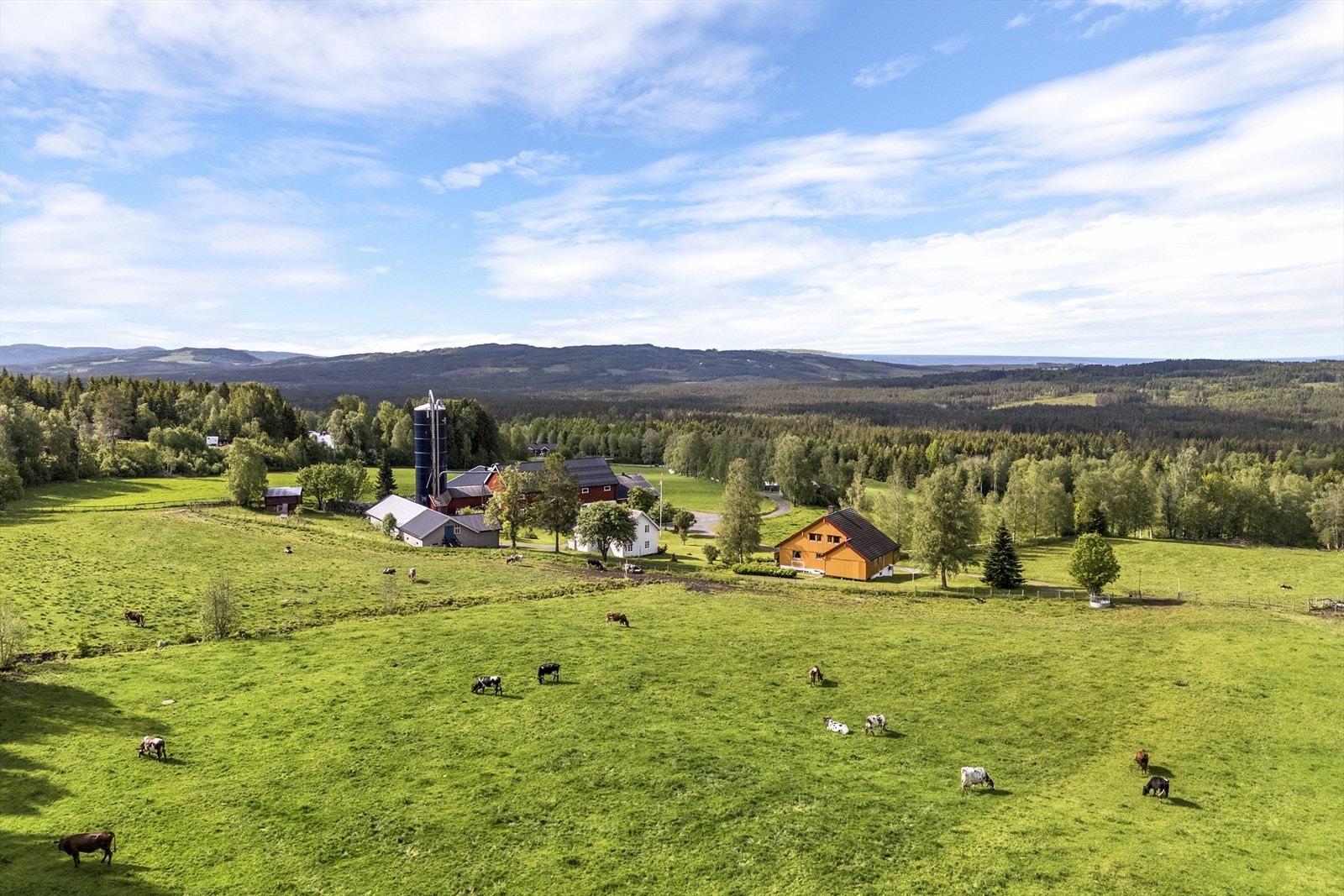 Lilleengen ligger i Kynnberget/Sørskogbygda Galleribilde