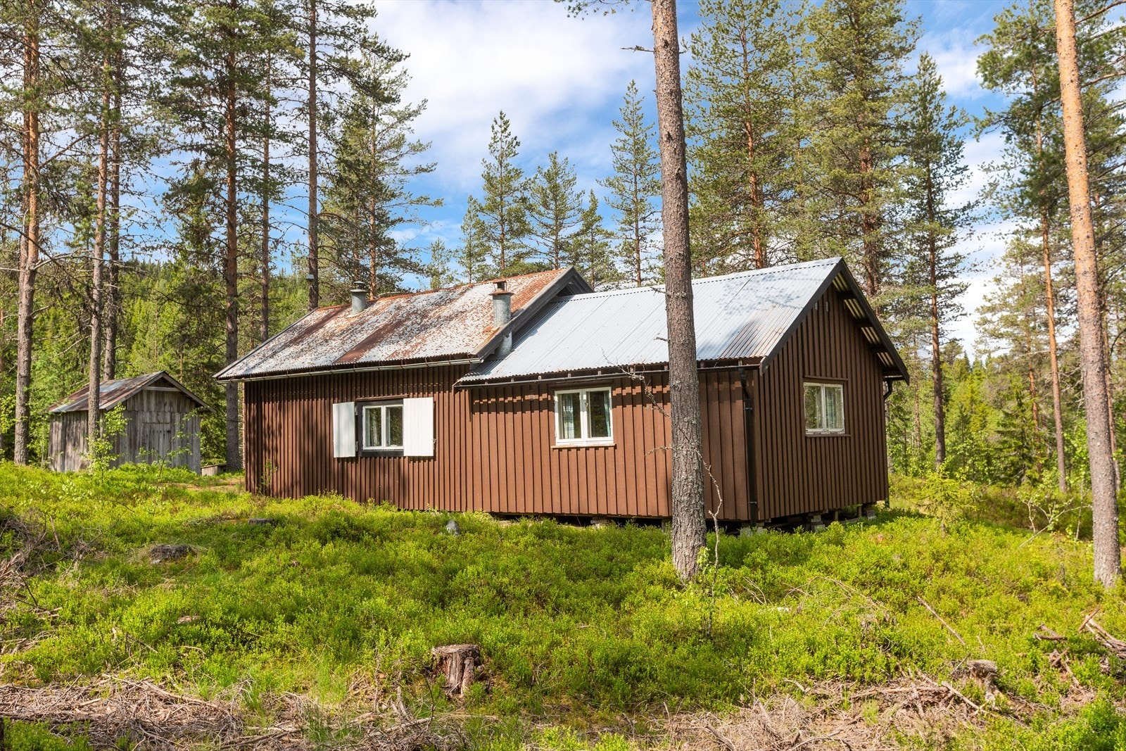 Jakthytte Galleribilde