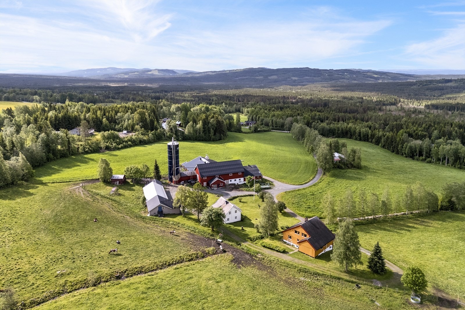 Velkommen til Lilleengen! Galleribilde