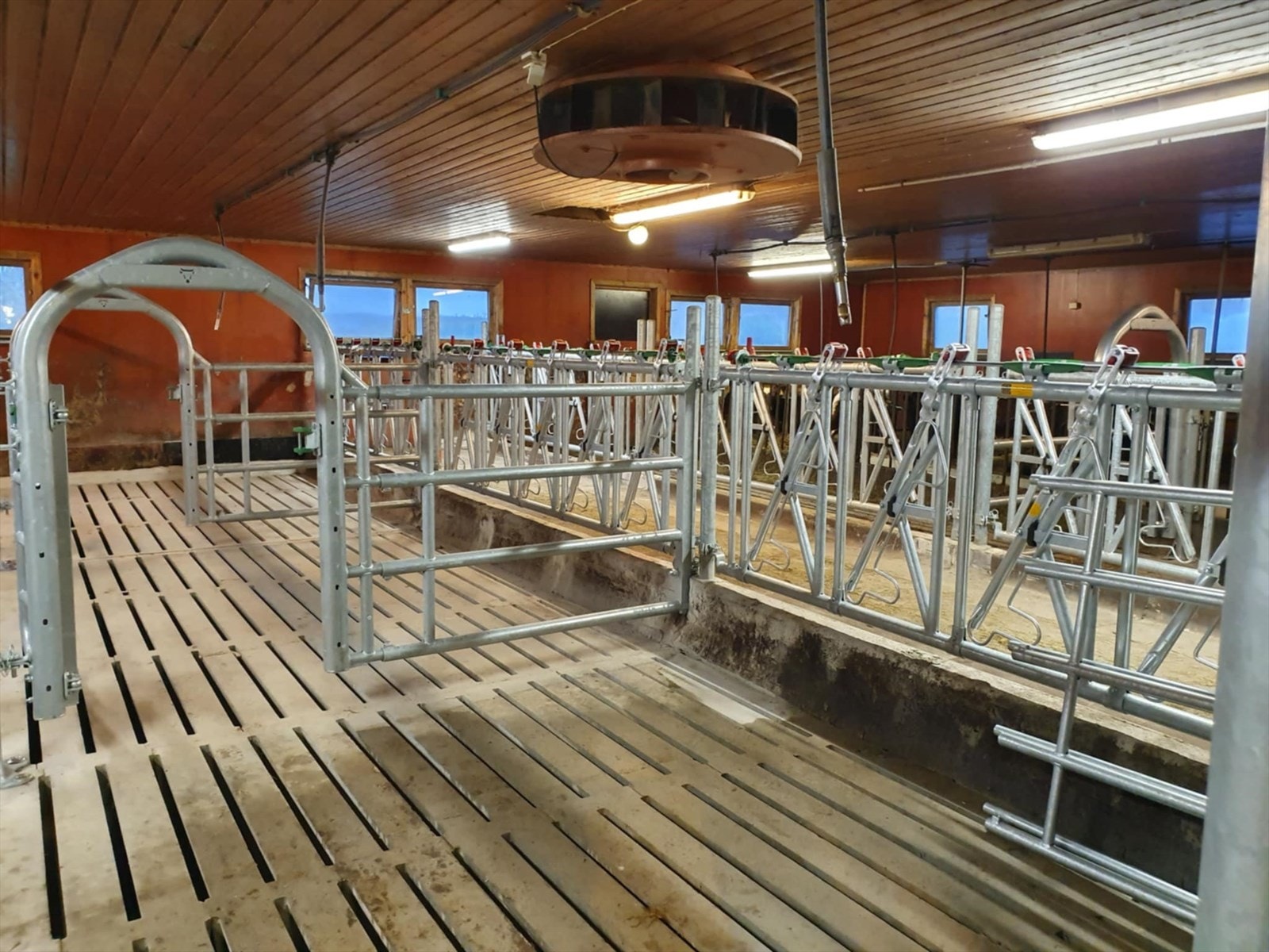 Ny innredning og spaltegulv i 2024 Galleribilde