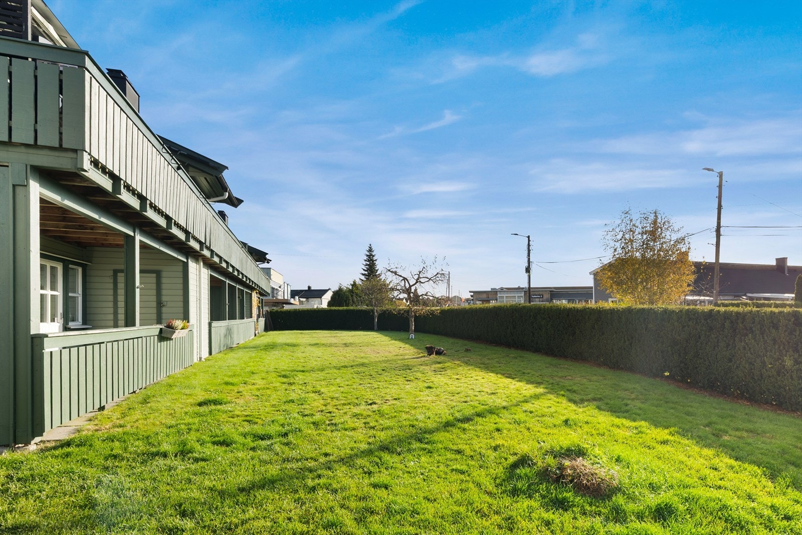 Sameiets tomt dekker arealet bak leilighetene også. Her har du diverse beplantninger, busker og gressplen. Galleribilde