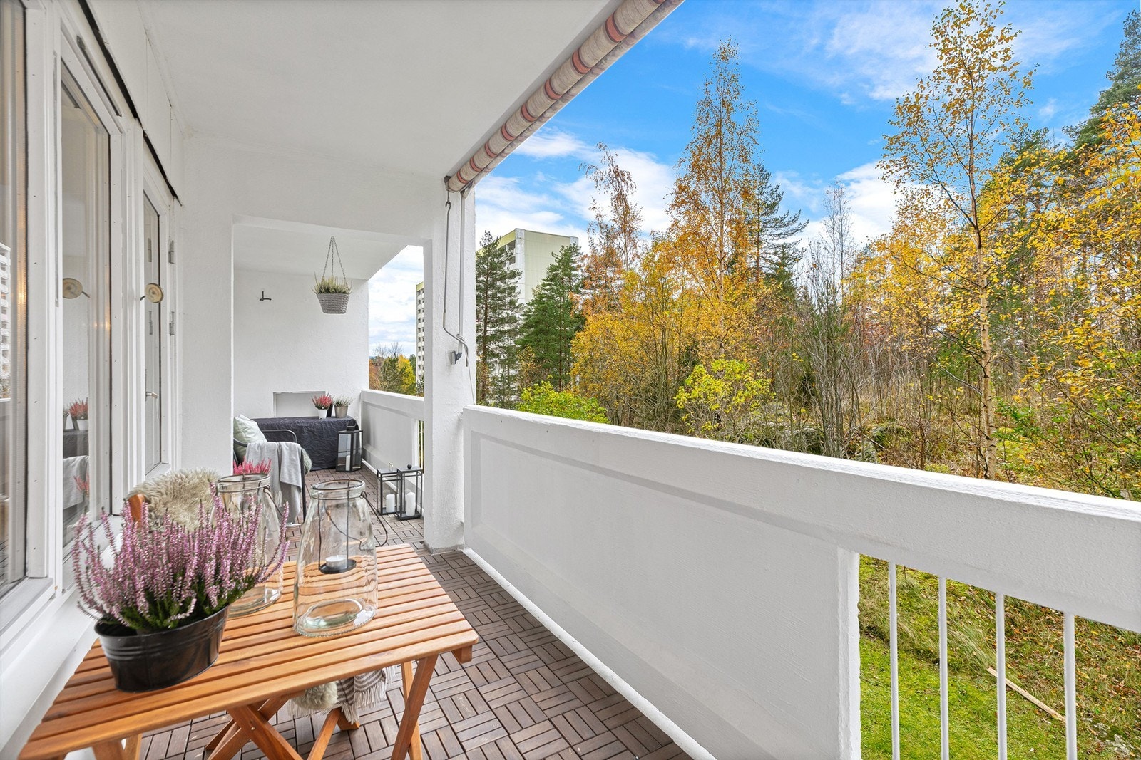 På terrassen kan man nyte roen og se ut på naturen med rådyr og ekorn Galleribilde