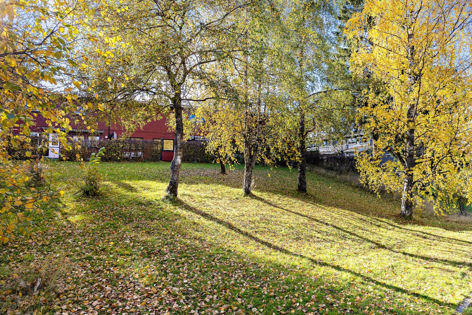 Boligen har en stor tomt som går ned til veien. Galleribilde