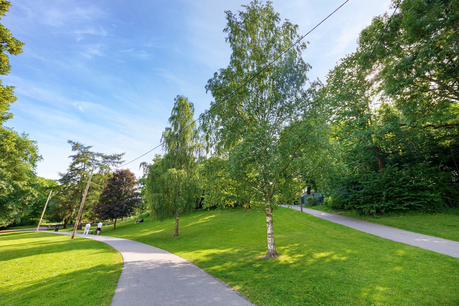 Stensparken - En Grønn Oase i Byen Galleribilde