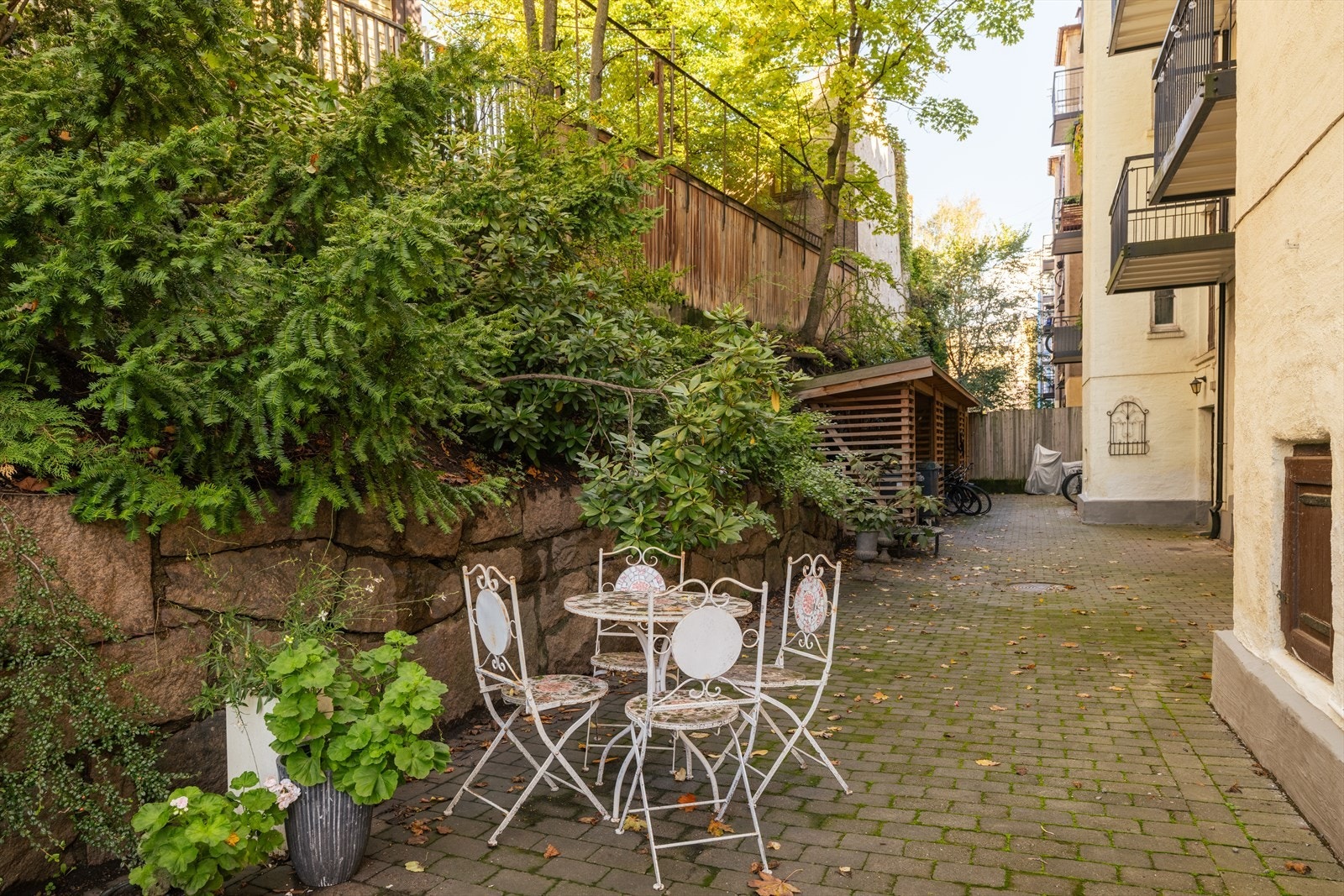 Bakgård med sykkelparkering. Galleribilde