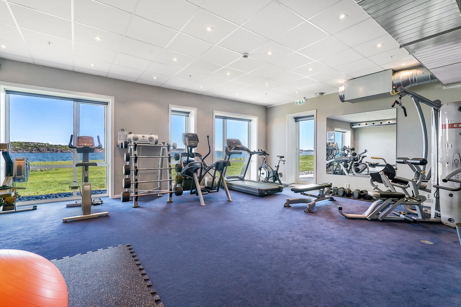 Velutstyrt trimrom Galleribilde