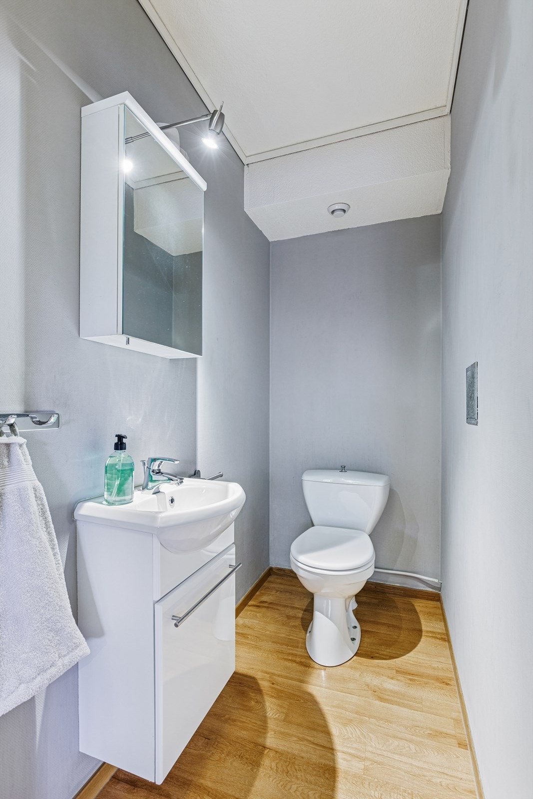 Ekstra toalett Galleribilde