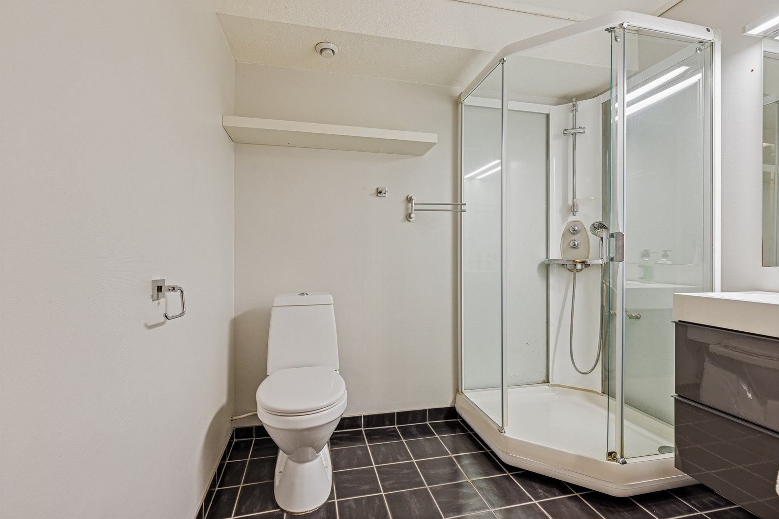 Stort baderom med dusjkabinett, WC og servant Galleribilde