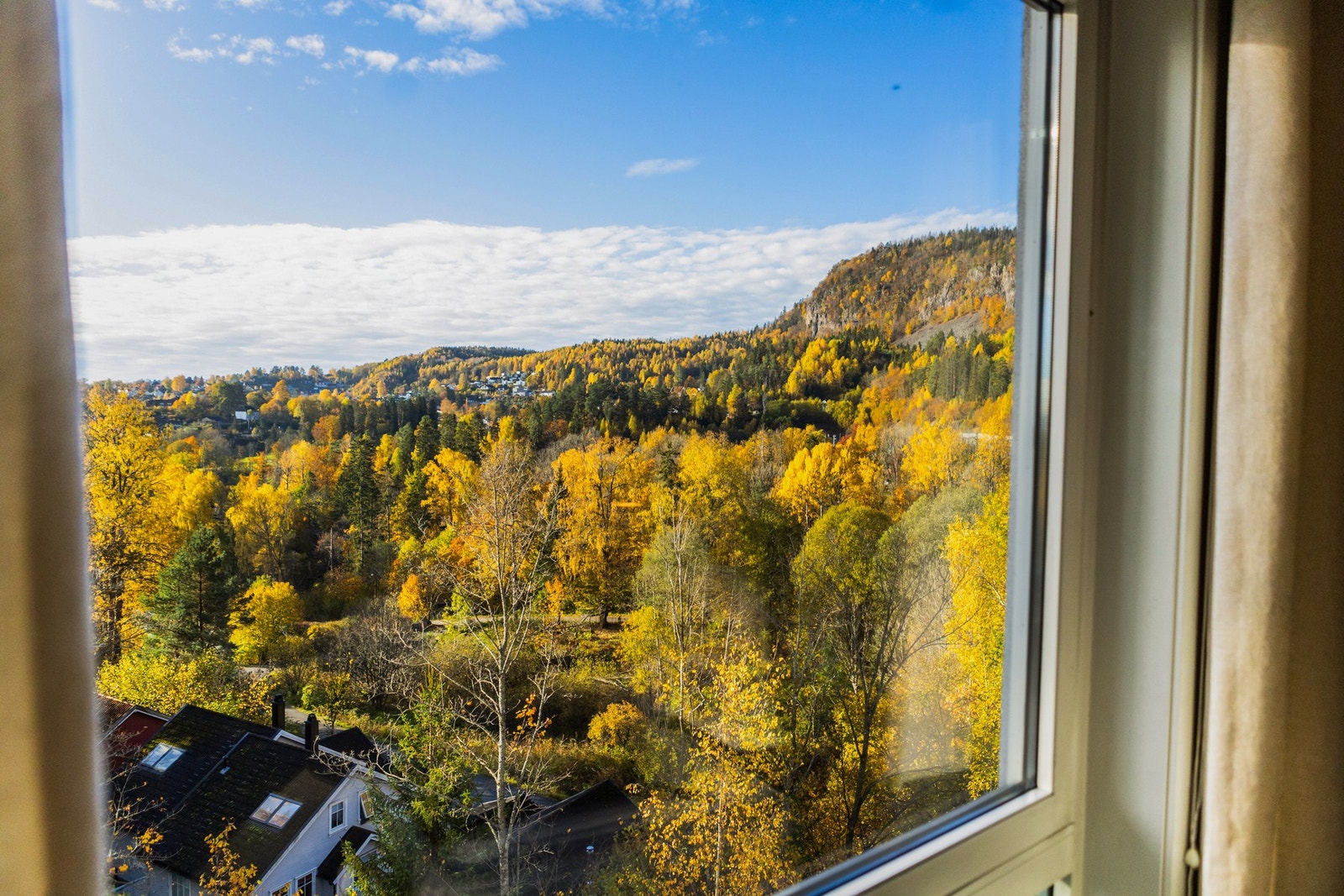 Detaljbilde. Galleribilde