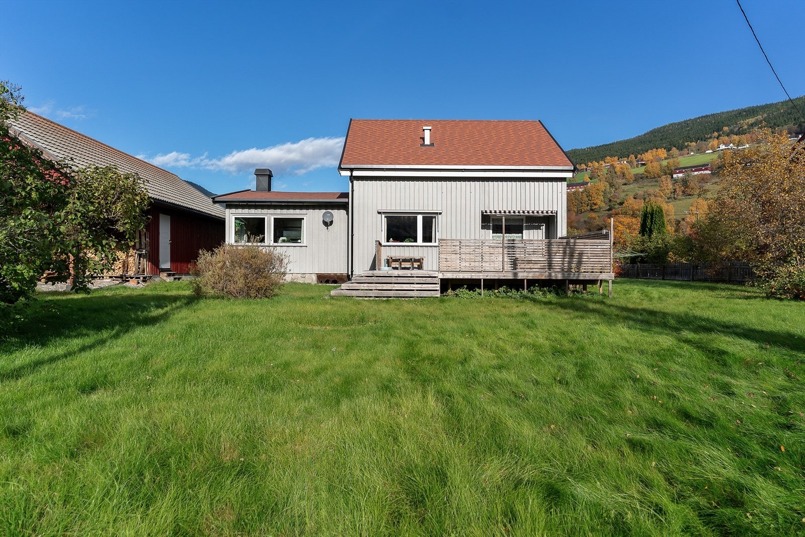 Det er godt med tumleplass i hagen Galleribilde