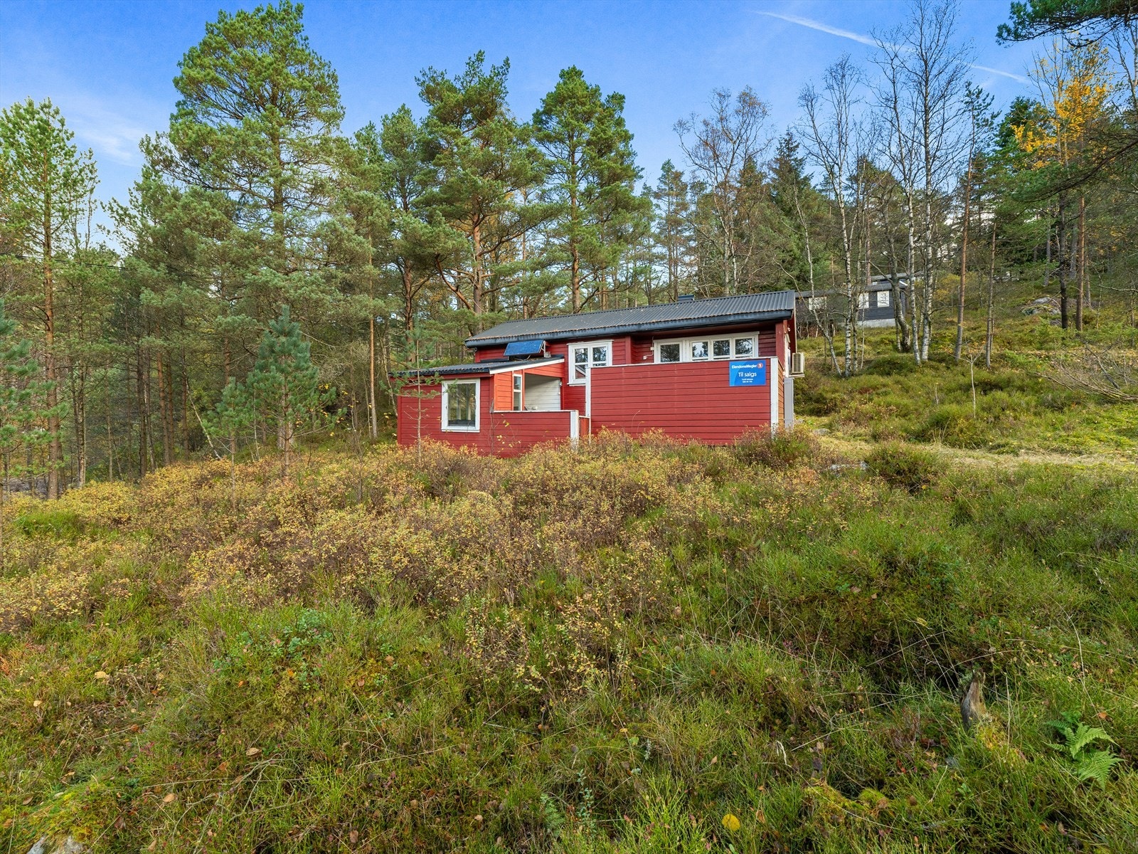 Velkommen til visning! Galleribilde