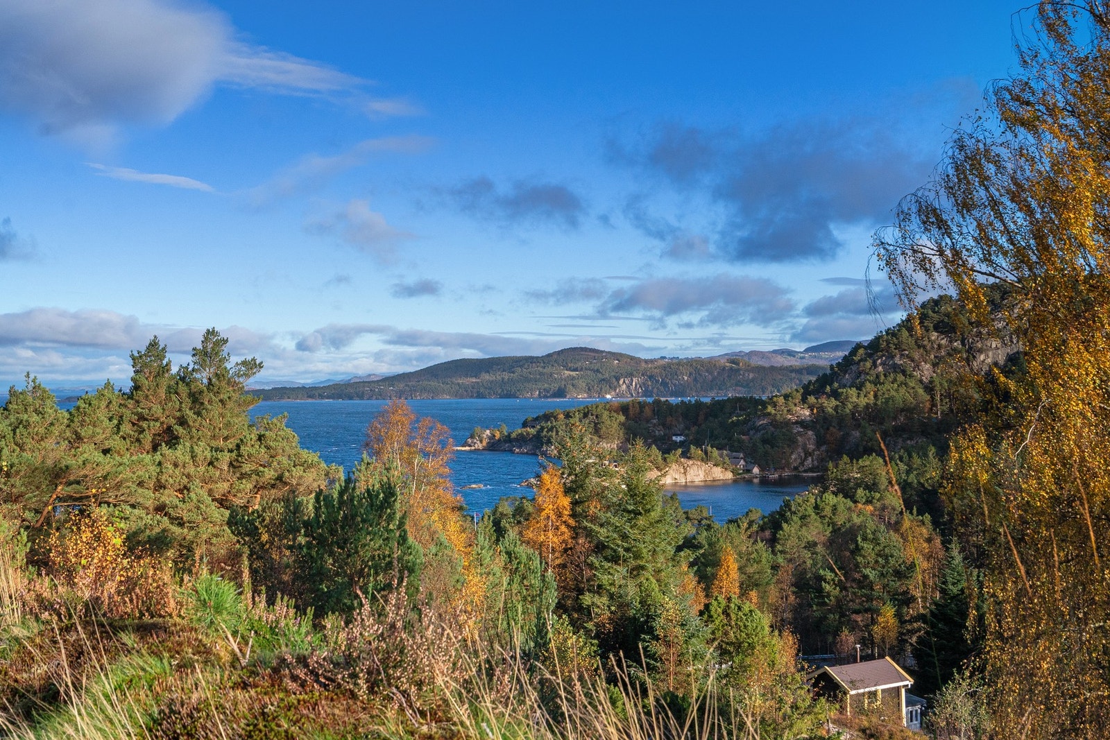 Sjøutsikt Galleribilde